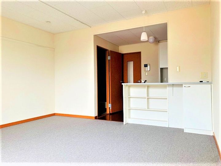 レオパレスメゾン神立A204の居間