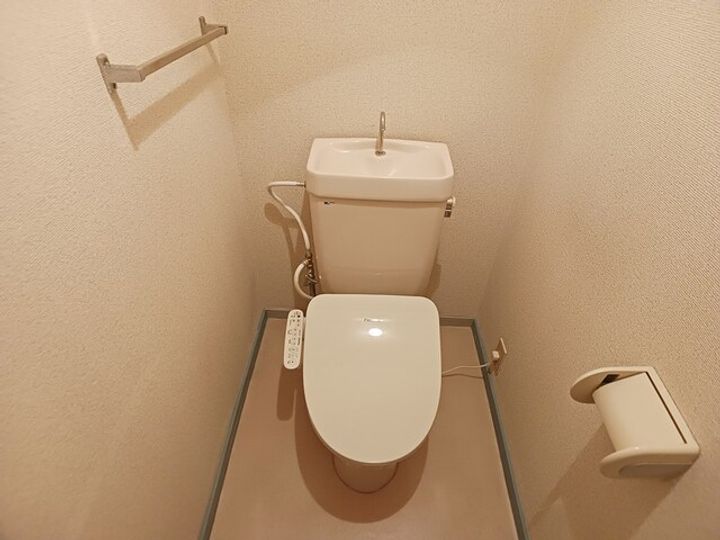 紫峰のその他画像