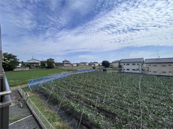 グラン メゾンのその他画像
