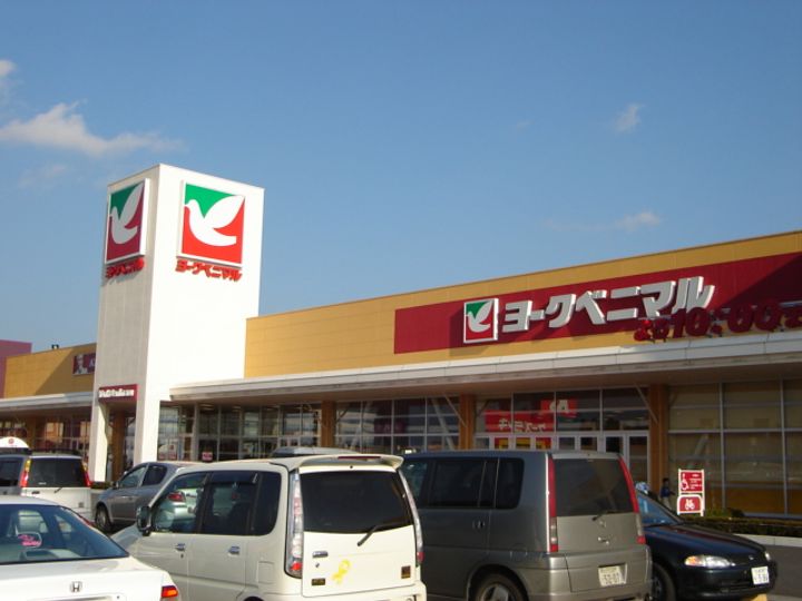 チェスナットの周辺
