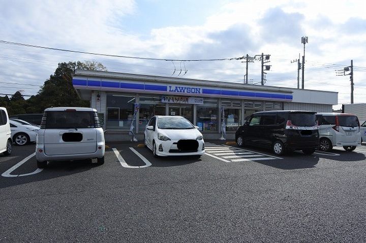 リビングタウンみどりのの周辺