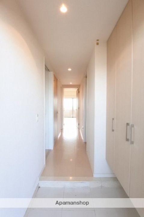 茨城県守谷市中央1丁目の賃貸マンションの玄関