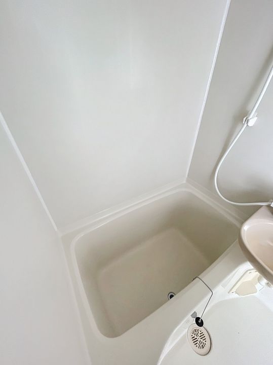 ドマーニ青山303の風呂