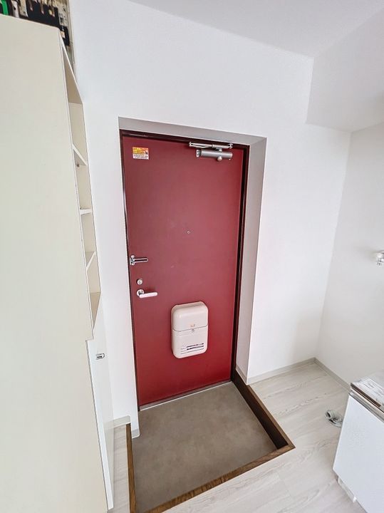 ドマーニ青山303の玄関