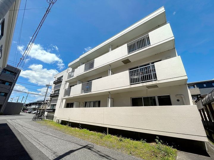 ドマーニ青山307の外観