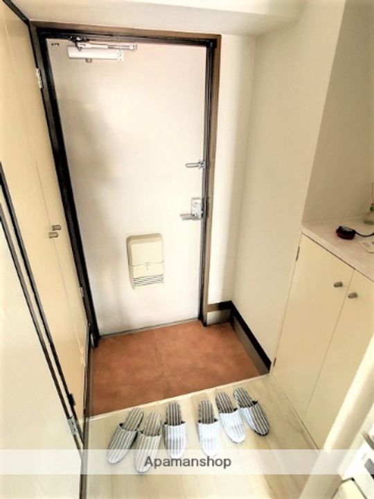 プレジール桜5Cの玄関