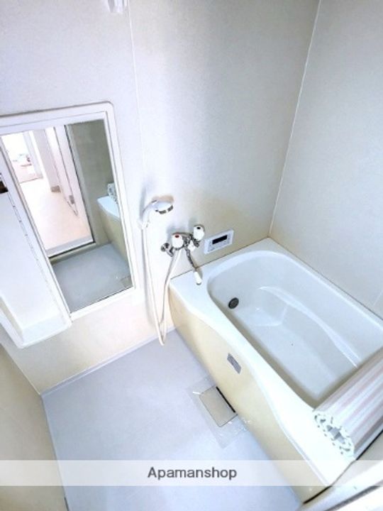 フォンテーヌT&H B棟202の風呂