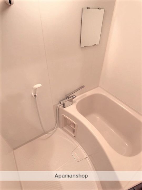 サンハイツ南大通り102の風呂