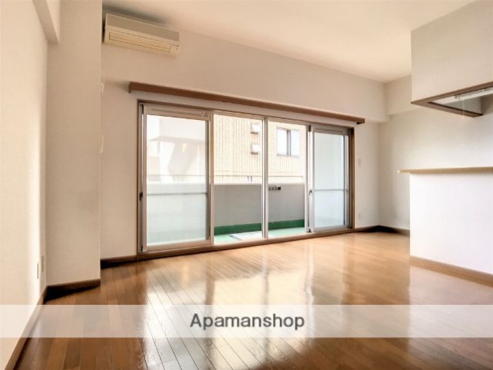 サニープレイス銀杏402の居間