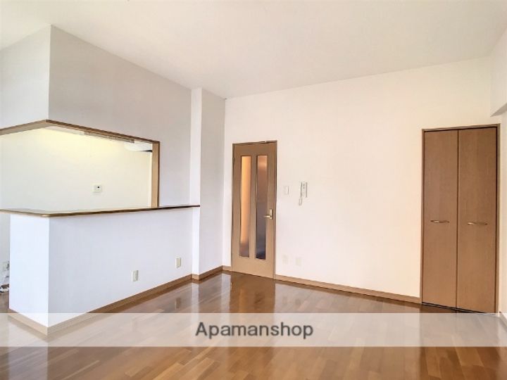 サニープレイス銀杏502の内装