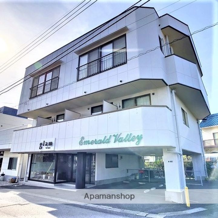 エメラルドヴァリィDの外観