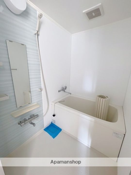 サザンマンション301の風呂