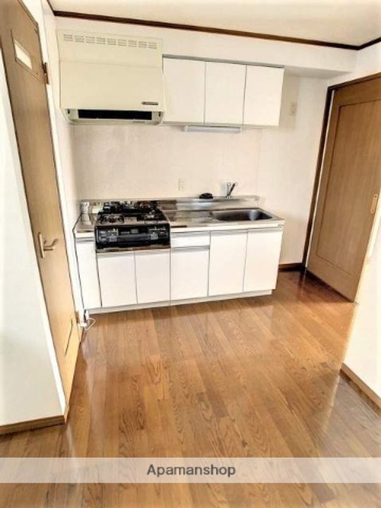 メゾン・パッサージュB棟302の内装