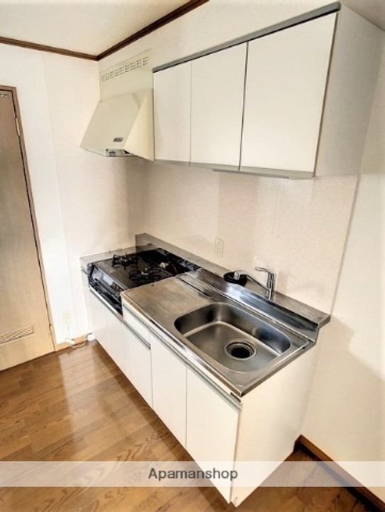 メゾン・パッサージュB棟302のキッチン