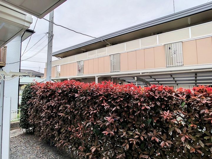 コーポマロニエ(ミネマチ)B203の外観