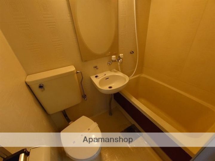 ドリームハウス太田212の風呂