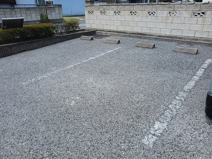 カメリアのその他画像