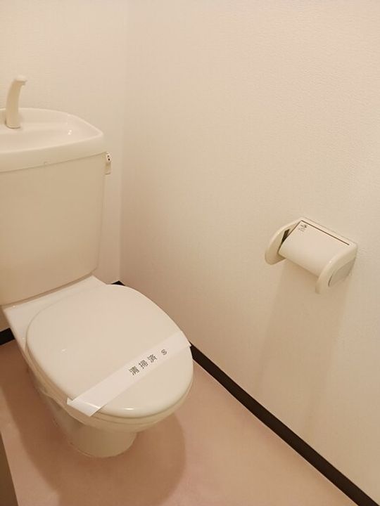 カメリアのその他画像