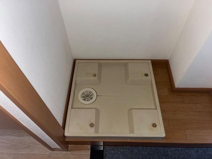 ザ・ワールドの内装