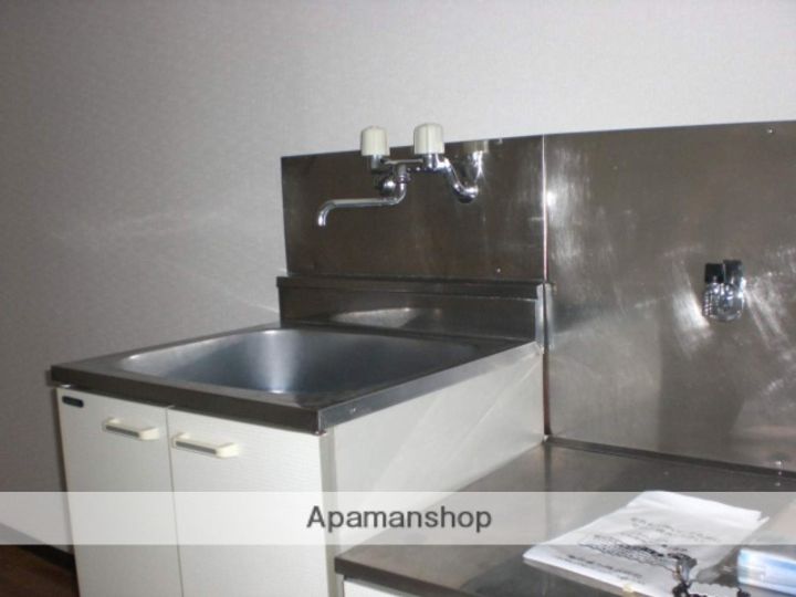 群馬県安中市松井田町人見の賃貸アパート201のキッチン