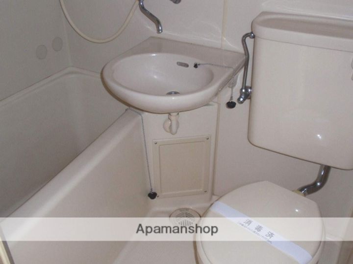 群馬県安中市松井田町人見の賃貸アパート102のその他画像