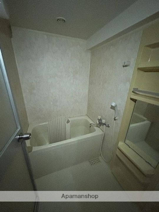 ダイアパレス高崎ガーデンステージの風呂