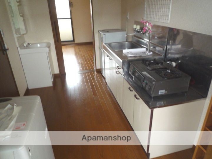 群馬県佐波郡玉村町大字斎田の賃貸アパートのキッチン