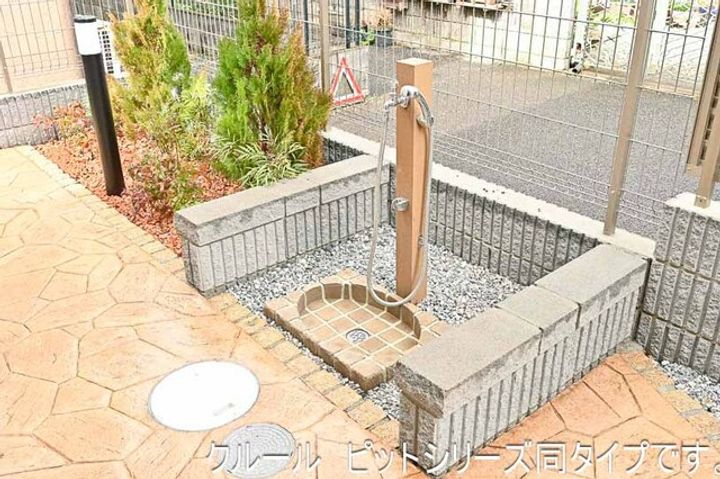 グランステラのその他画像