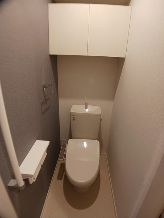 グランステラのその他画像