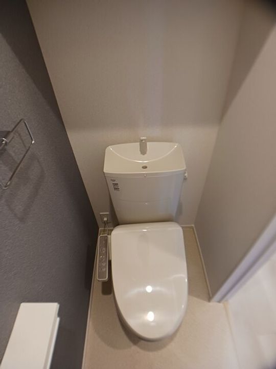 グランステラのその他画像