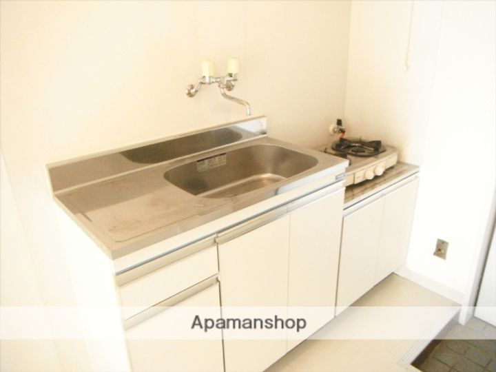 群馬県高崎市大八木町の賃貸アパートのキッチン