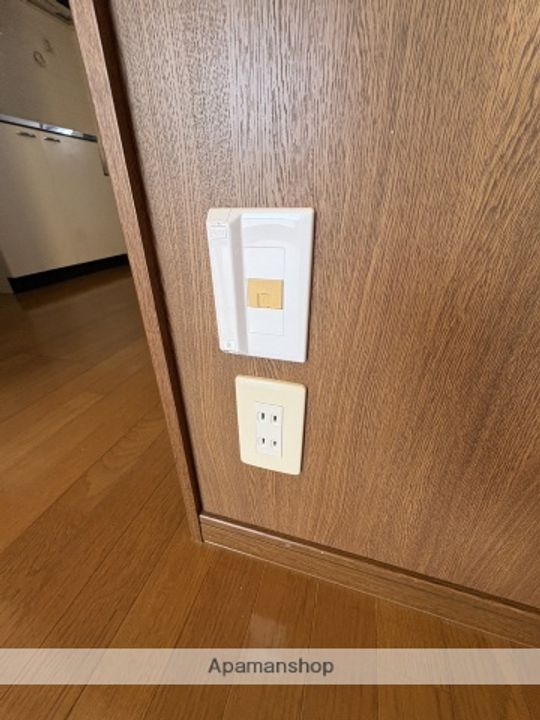 群馬県渋川市半田の賃貸アパートの内装