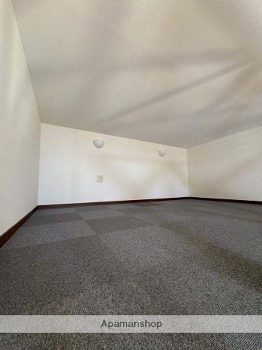 群馬県渋川市半田の賃貸アパートの内装