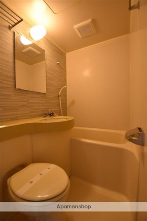 渋川グリーンパレス203の風呂