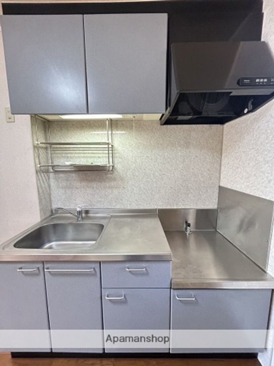 群馬県前橋市北代田町の賃貸アパートB101のキッチン