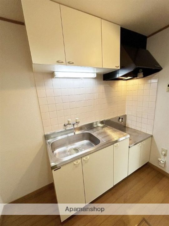 群馬県前橋市箱田町の賃貸アパート101のキッチン