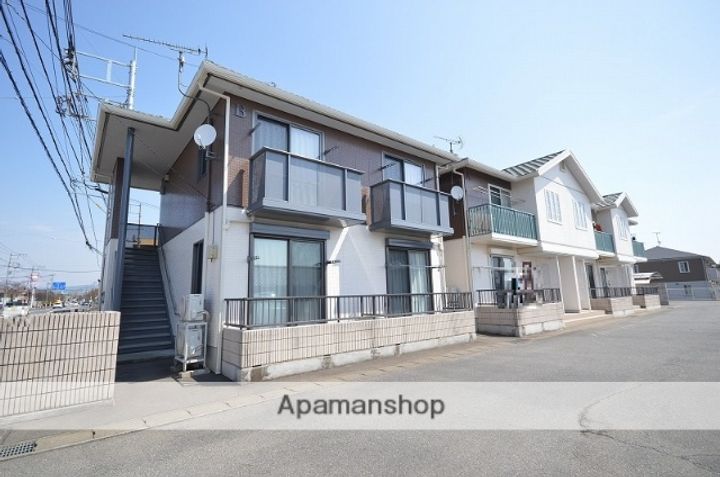 オリーブの外観