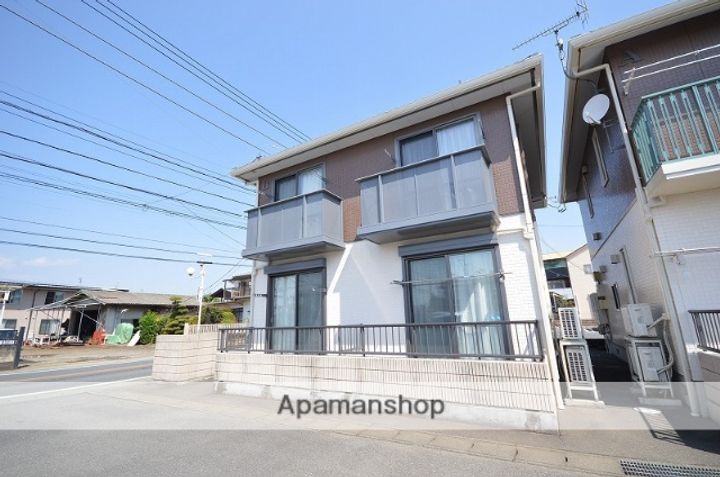 オリーブの外観