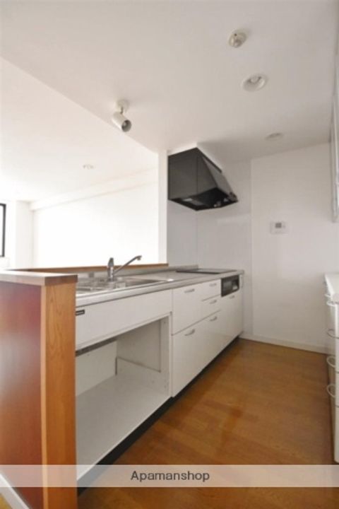 ADVANCE NAGAIⅡのキッチン