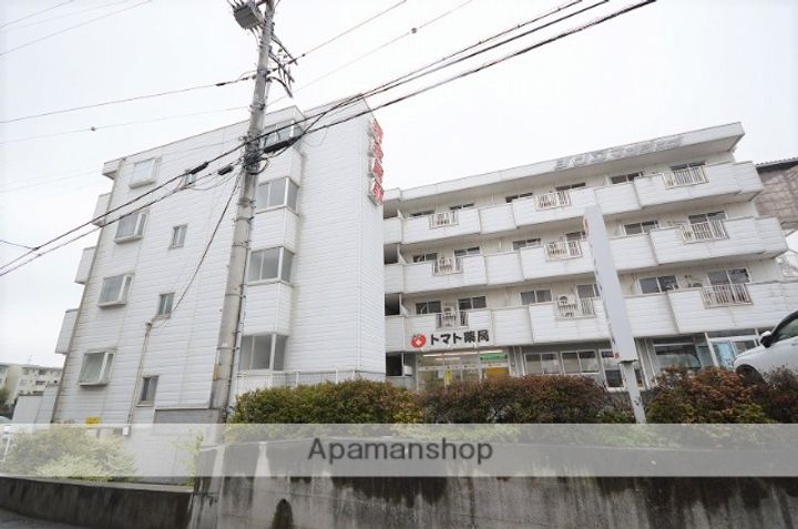 シンワマンション304の外観