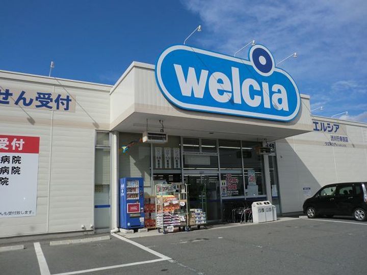 アベリアの周辺