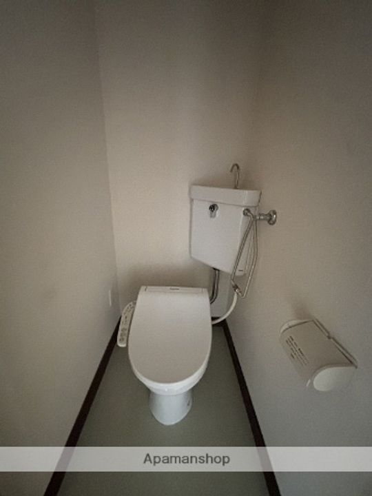 グリーンアップルのその他画像