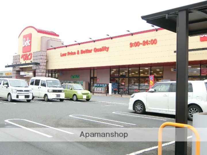 ドリームハウス太田201の周辺