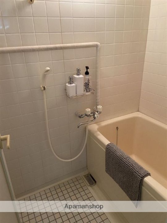 ハイツリバーサイドB207の風呂