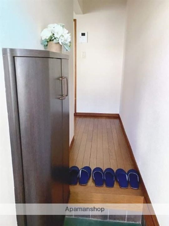 どれみハイツB203の玄関