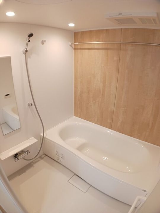 ラ メゾン豊城Bの風呂