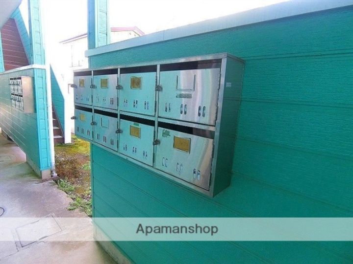 コットンピュア205のその他画像