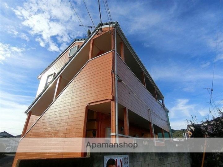 コットンピュア107の外観