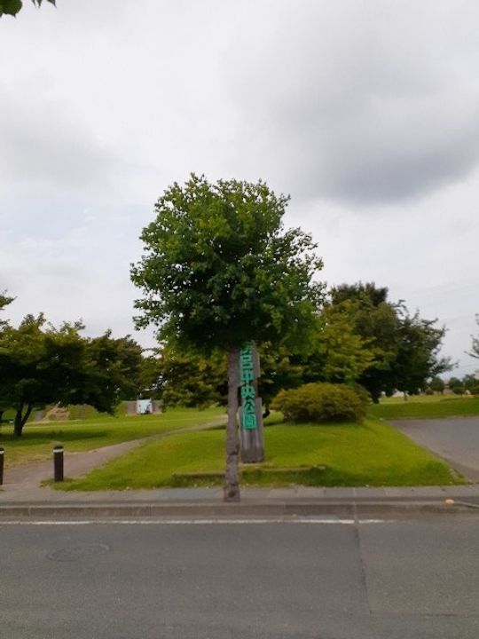 ソラーナ Aの周辺