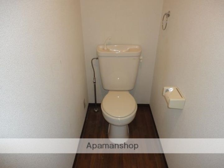 タンジェロワのその他画像